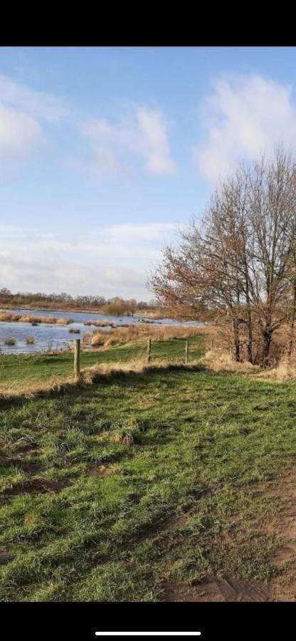 Safarihuisje Met Airco! Oisterwijk